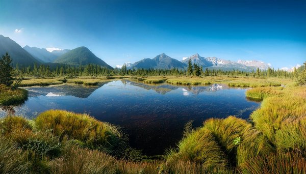 Louer un Bateau en Toute Sécurité : Droits et Assurances Essentiels